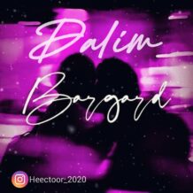 دانلود آهنگ جدید دالیم به نام برگرد